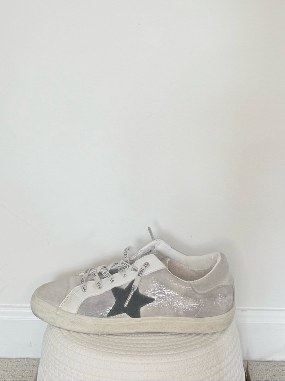 Vintage Havana Canvas Metallic Retro Sneakers